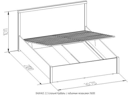 Кровать с подъемны механизмом Bauhaus 2.2 160х200, дуб фото 2